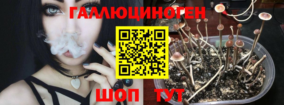 Псилоцибиновые грибы ЛСД Таганрог