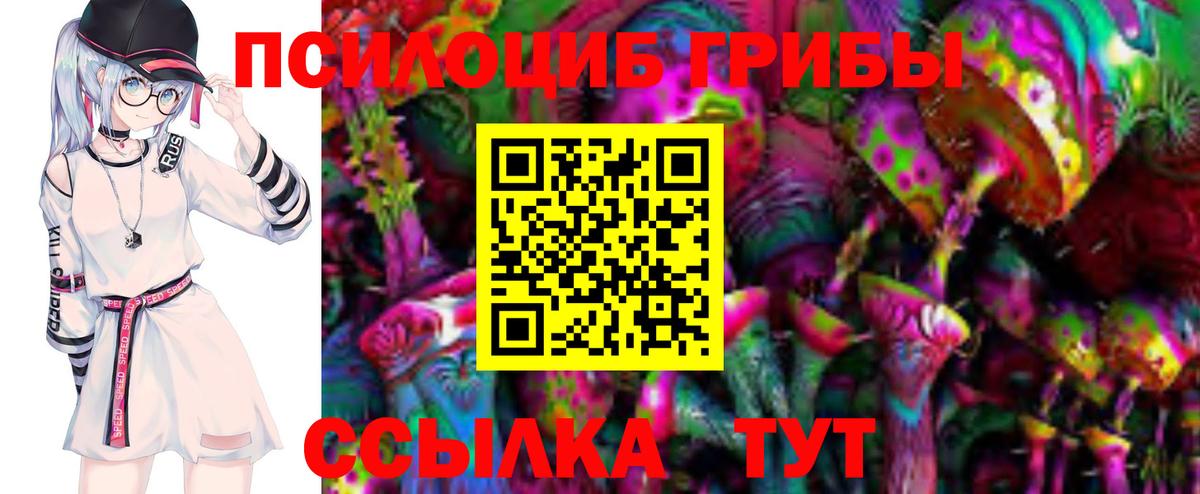 Псилоцибиновые грибы Psilocybe  Вход с VPN  Таганрог 